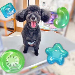 照片 2026-8-8 20 49 16.jpg
