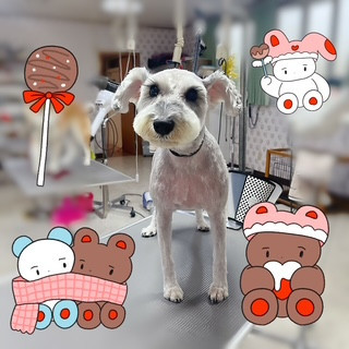 照片 2026-8-8 21 10 38 (9).jpg