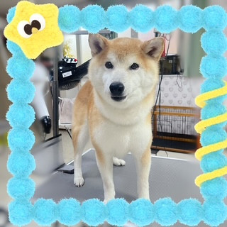 照片 2026-8-8 21 10 38.jpg