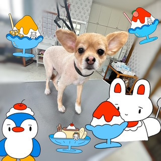 照片 2026-8-10 15 54 39.jpg