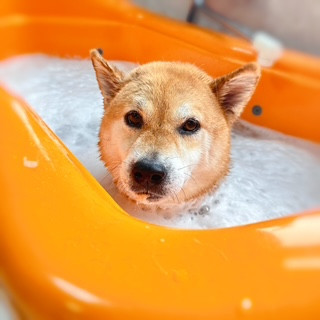 照片 2026-8-10 15 55 05.jpg