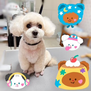 照片 2026-8-10 16 15 15.jpg