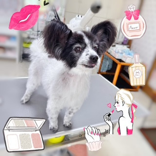 照片 2026-8-11 10 47 12.jpg