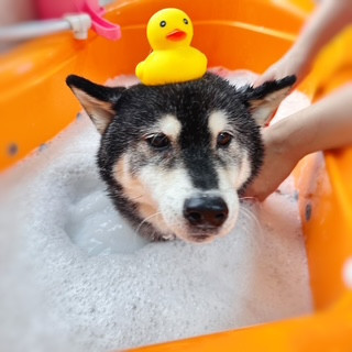 照片 2026-8-12 10 51 10.jpg