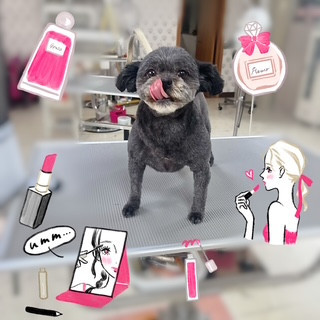 照片 2026-8-12 19 06 22.jpg
