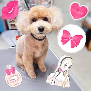 照片 2026-8-12 19 10 41.jpg