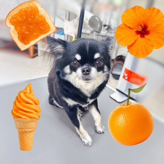 照片 2026-8-12 19 11 44.jpg