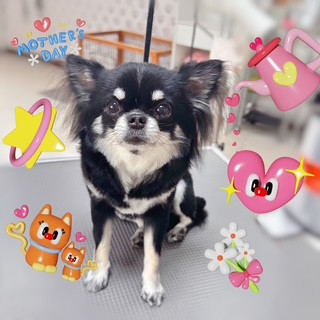 照片 2026-8-12 19 14 05.jpg
