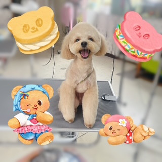 照片 2026-8-13 9 24 56 (7).jpg