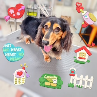 照片 2026-8-18 10 14 01.jpg
