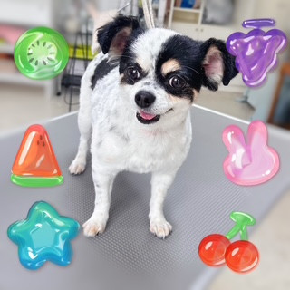 照片 2026-8-18 10 15 29.jpg