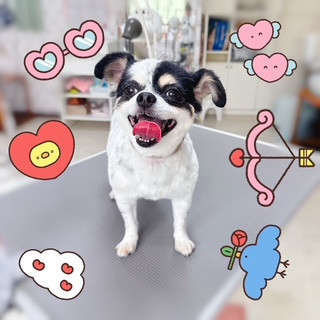 照片 2026-8-18 10 16 44.jpg