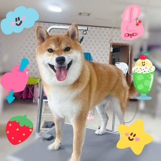 照片 2026-8-18 10 35 17 (9).jpg