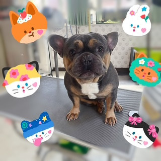 照片 2026-8-18 10 35 17.jpg