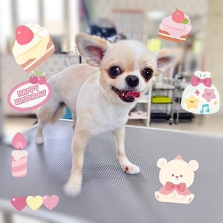 照片 2026-8-20 14 54 24.jpg