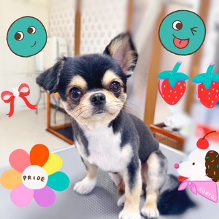 照片 2026-8-21 10 53 24.jpg