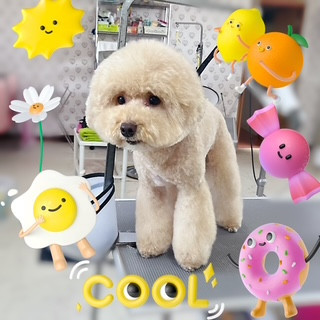 照片 2026-8-21 11 05 59.jpg