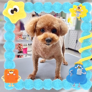照片 2026-8-22 15 45 01.jpg