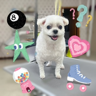 照片 2026-8-22 20 27 50.jpg