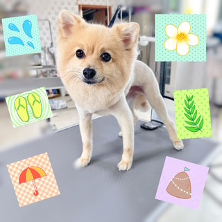 照片 2026-8-24 17 29 52.jpg