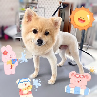 照片 2026-8-24 17 31 01.jpg