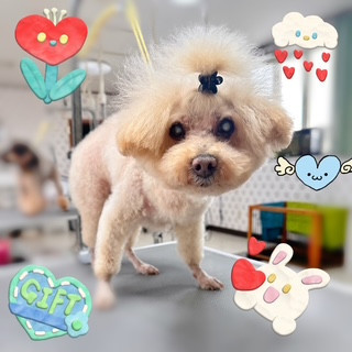 照片 2026-8-24 17 34 18.jpg