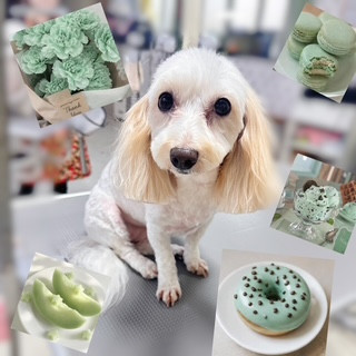 照片 2026-8-24 17 35 31.jpg