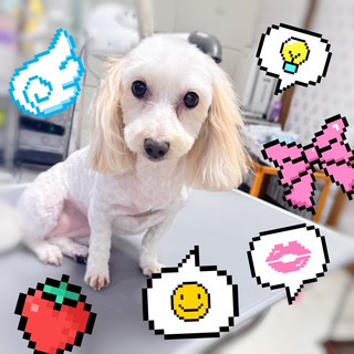照片 2026-8-24 17 36 36.jpg