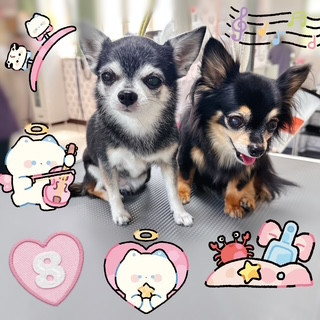 照片 2026-8-25 20 41 43.jpg