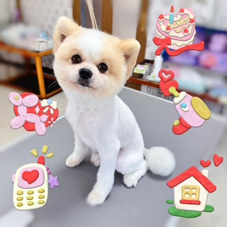 照片 2026-8-25 20 42 32.jpg