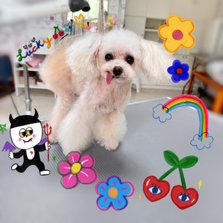 照片 2026-8-27 10 45 43.jpg