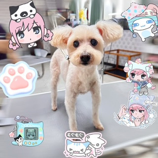 照片 2026-8-27 10 47 45.jpg