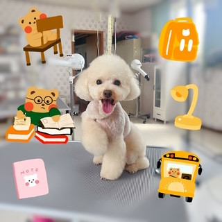 照片 2026-8-27 10 53 45.jpg