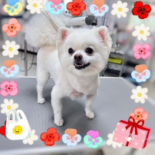 照片 2026-8-27 12 41 10.jpg