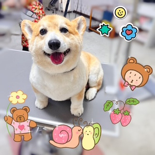 照片 2026-8-28 16 28 07.jpg