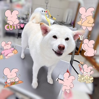 照片 2026-8-29 12 21 15.jpg