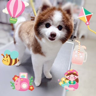照片 2026-8-30 9 19 09.jpg