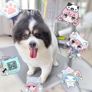 照片 2026-8-30 13 52 00.jpg