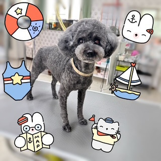 照片 2026-8-30 15 22 39.jpg