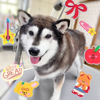照片 2026-9-2 15 55 00.jpg