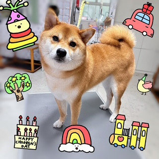 照片 2026-9-4 13 57 56.jpg