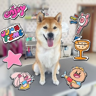 照片 2026-9-5 21 39 10 (1).jpg