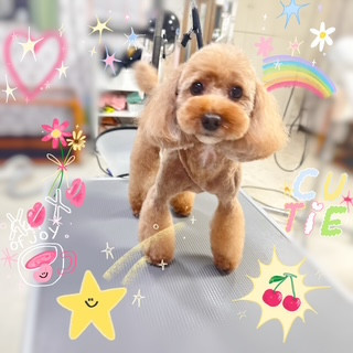 照片 2026-9-7 10 55 04.jpg