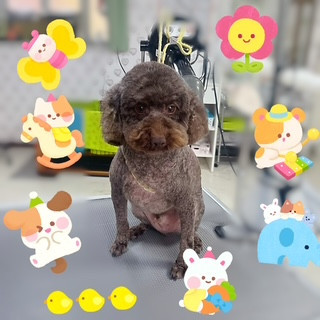 照片 2026-9-7 19 28 19.jpg