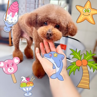 照片 2026-9-8 21 13 44.jpg