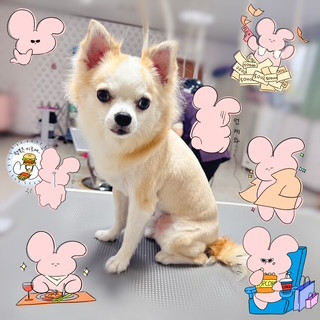 照片 2026-9-8 21 16 33.jpg