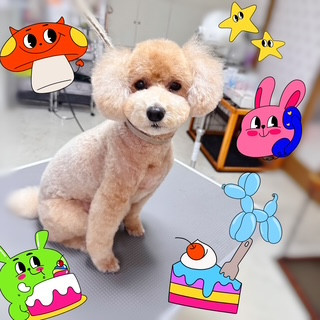 照片 2026-9-9 19 28 17.jpg