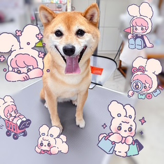照片 2026-9-9 19 29 17.jpg