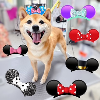 照片 2026-9-9 19 31 14.jpg