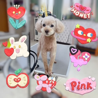照片 2026-9-9 19 39 05 (1).jpg